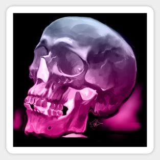 Skull Study 3 Sticker